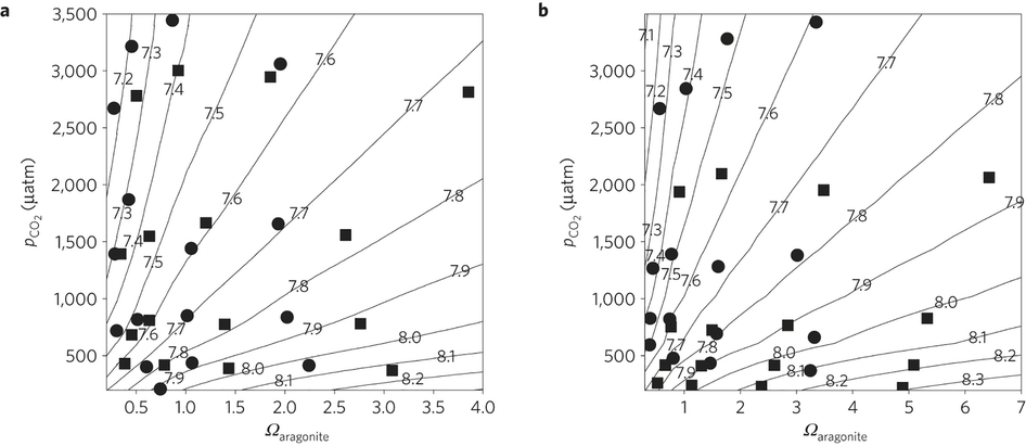 dataset